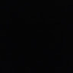 Meet your Posher, Joey